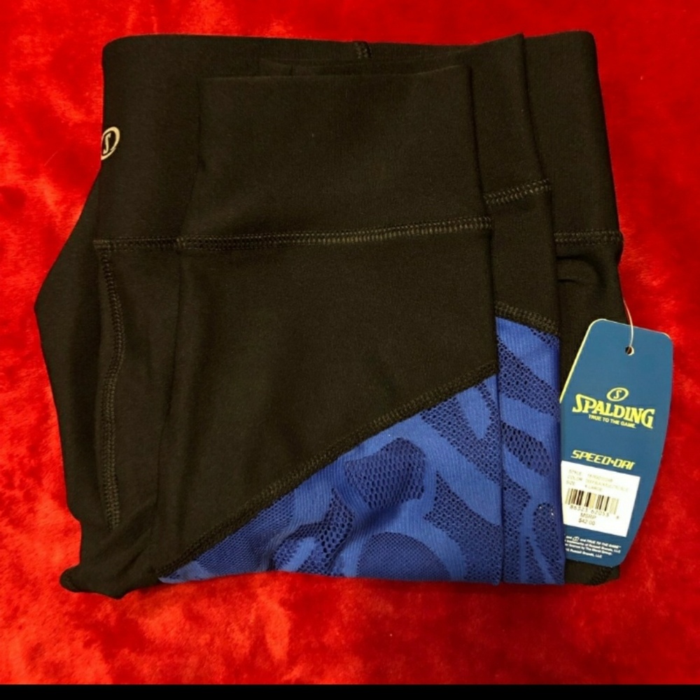 Black Leggings with Royal Blue Mesh_SizeL